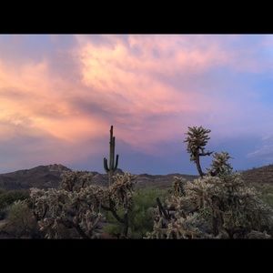 Meet your Posher, Skye